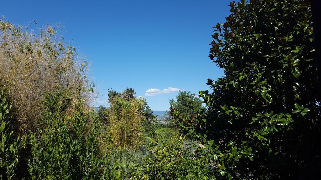 Villa Casolare Al Dopolavoro Lucca Esterno foto
