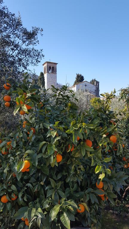 Villa Casolare Al Dopolavoro Lucca Esterno foto