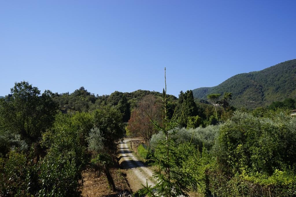 Villa Casolare Al Dopolavoro Lucca Esterno foto